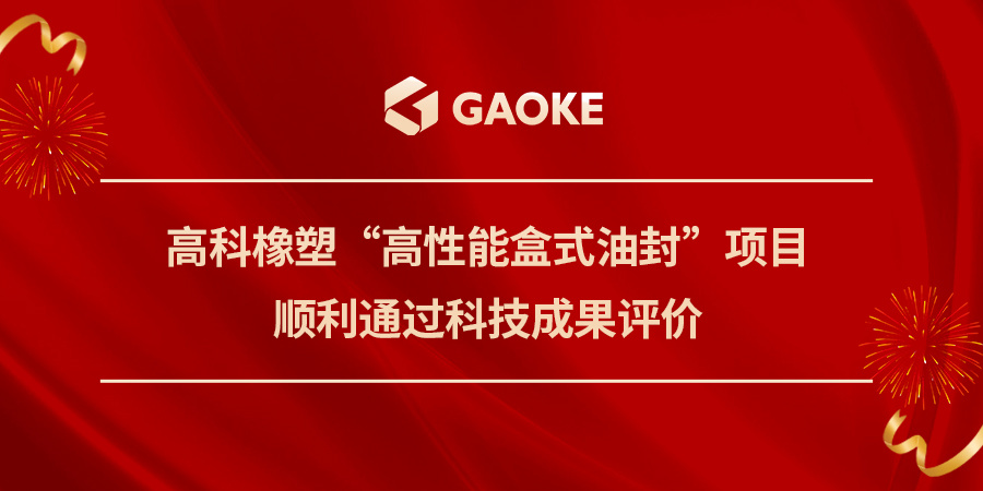 南宫NG·28橡塑「高性能盒式油封」項目順利通過科技成果評價