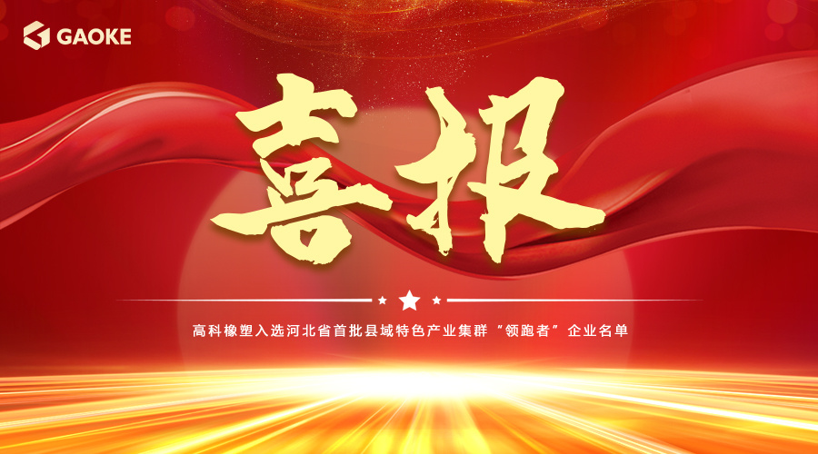 喜報丨南宫NG·28橡塑入選河北省縣域特色產業集群「領跑者」企業名單