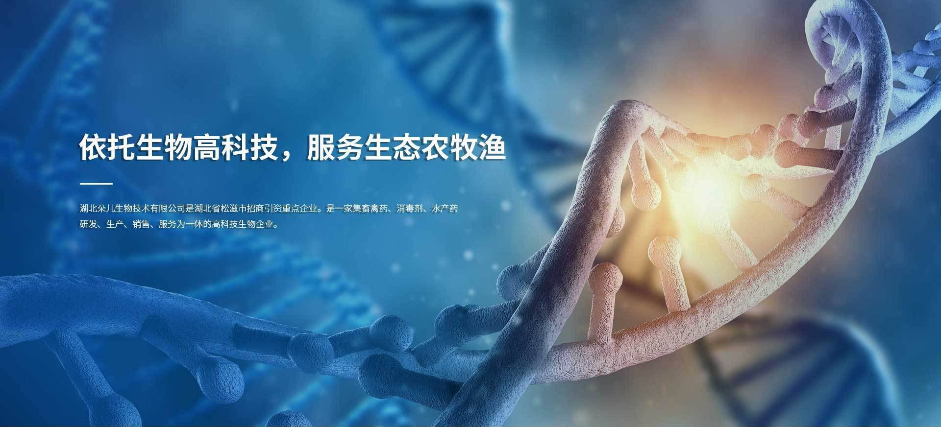 朵儿生物