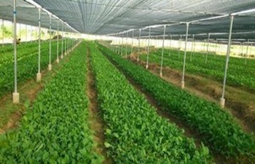 農產品規範化種植培養
