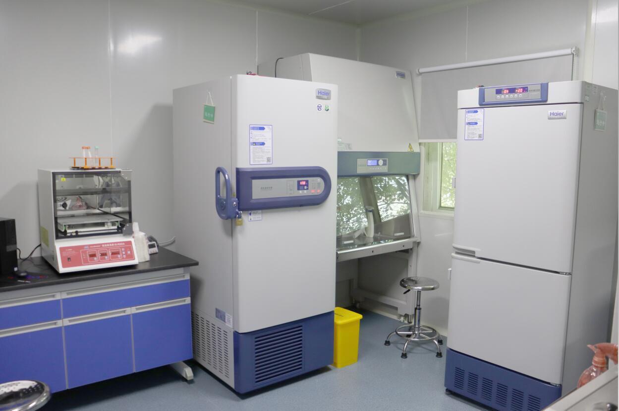 p2实验室