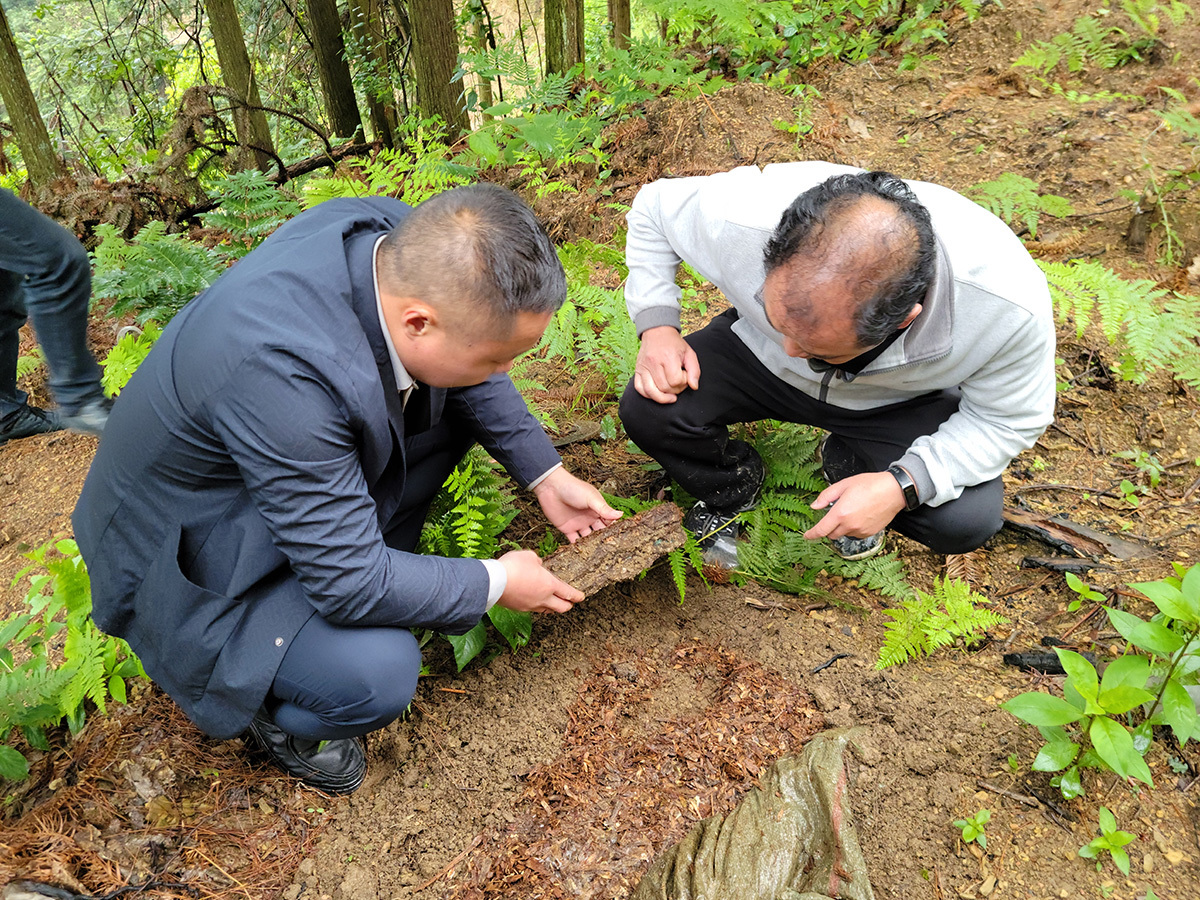 種植基地