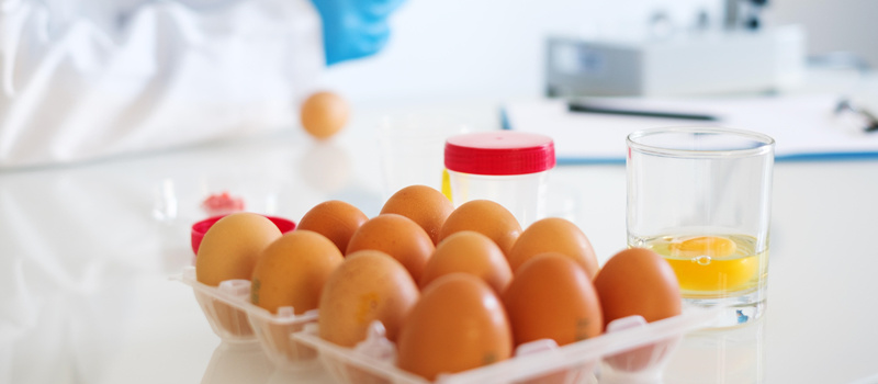 禽蛋产品检测