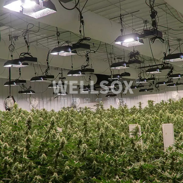 种植大棚纤维织物k8凯发天生赢家·一触即发布袋k8凯发天生赢家·一触即发