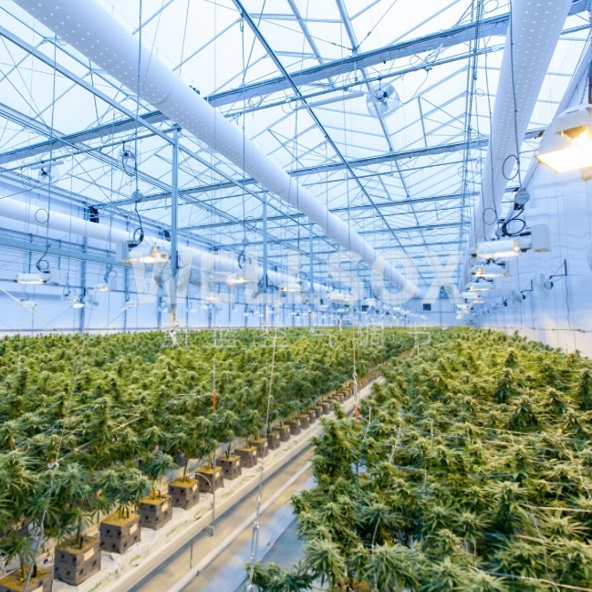 种植大棚纤维织物k8凯发天生赢家·一触即发布袋k8凯发天生赢家·一触即发