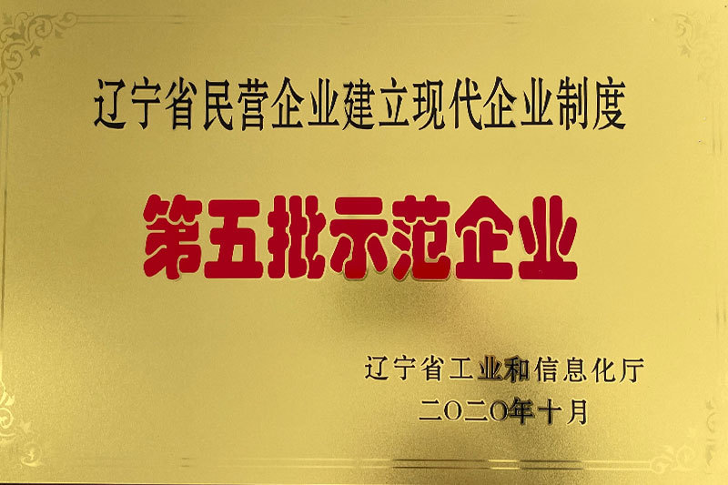 辽宁省现代企业制度第五批示范企业