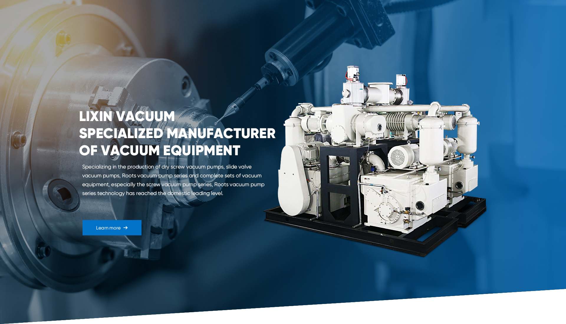 Zhejiang Fangyuan Lixin Vacuum Equipment Co Ltd Vacuum Pumps