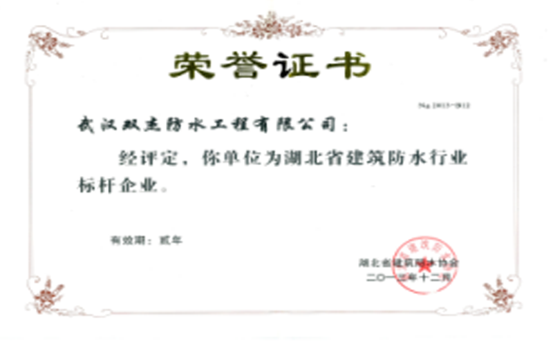 湖北省防水标杆企业