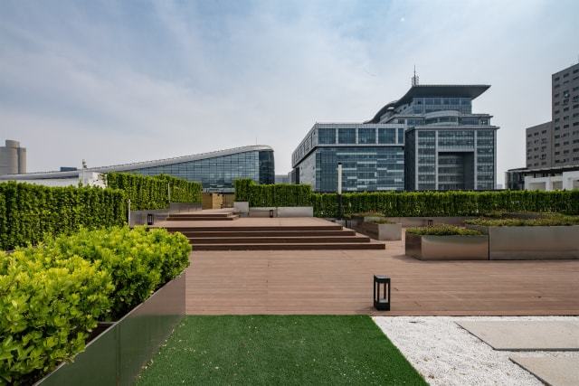 山东国际k8凯发国际中心楼顶绿化项目