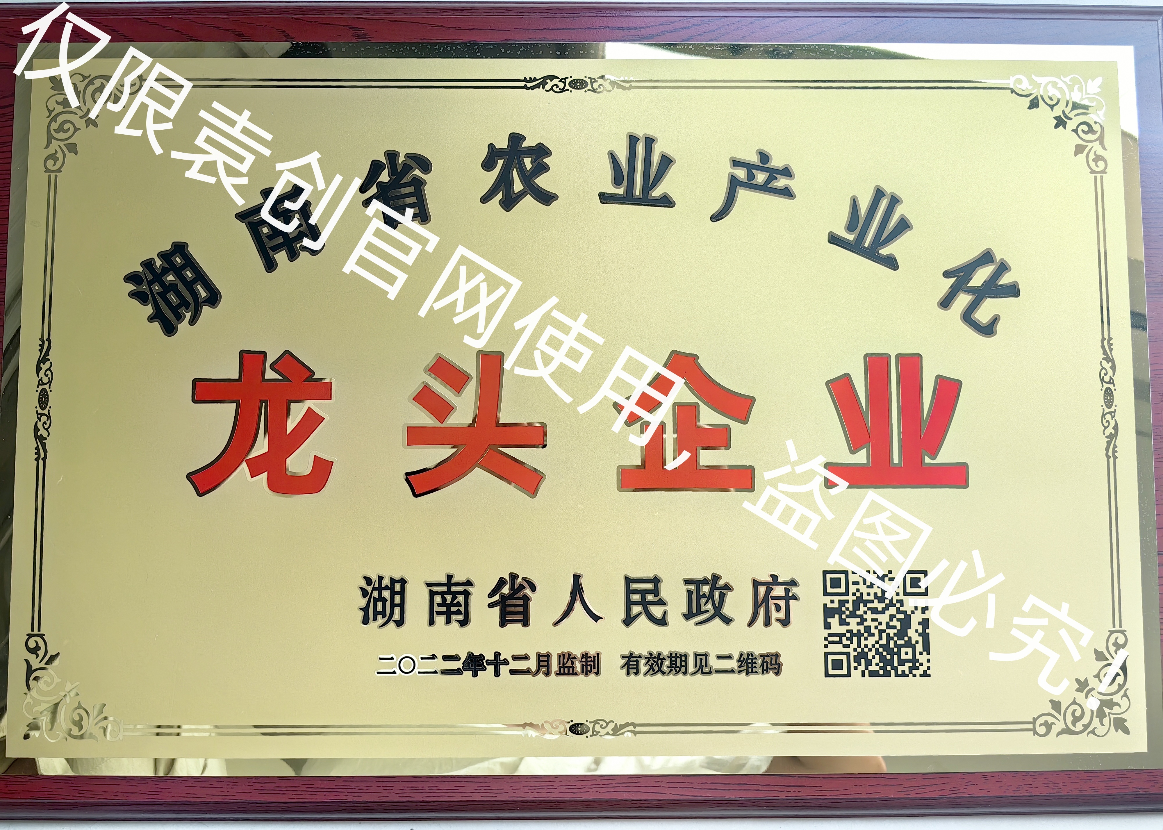 湖南省龙头企业