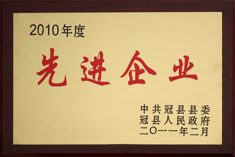 2010年度先进企业