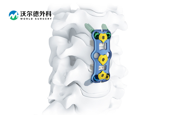 頸椎前路內固定系統