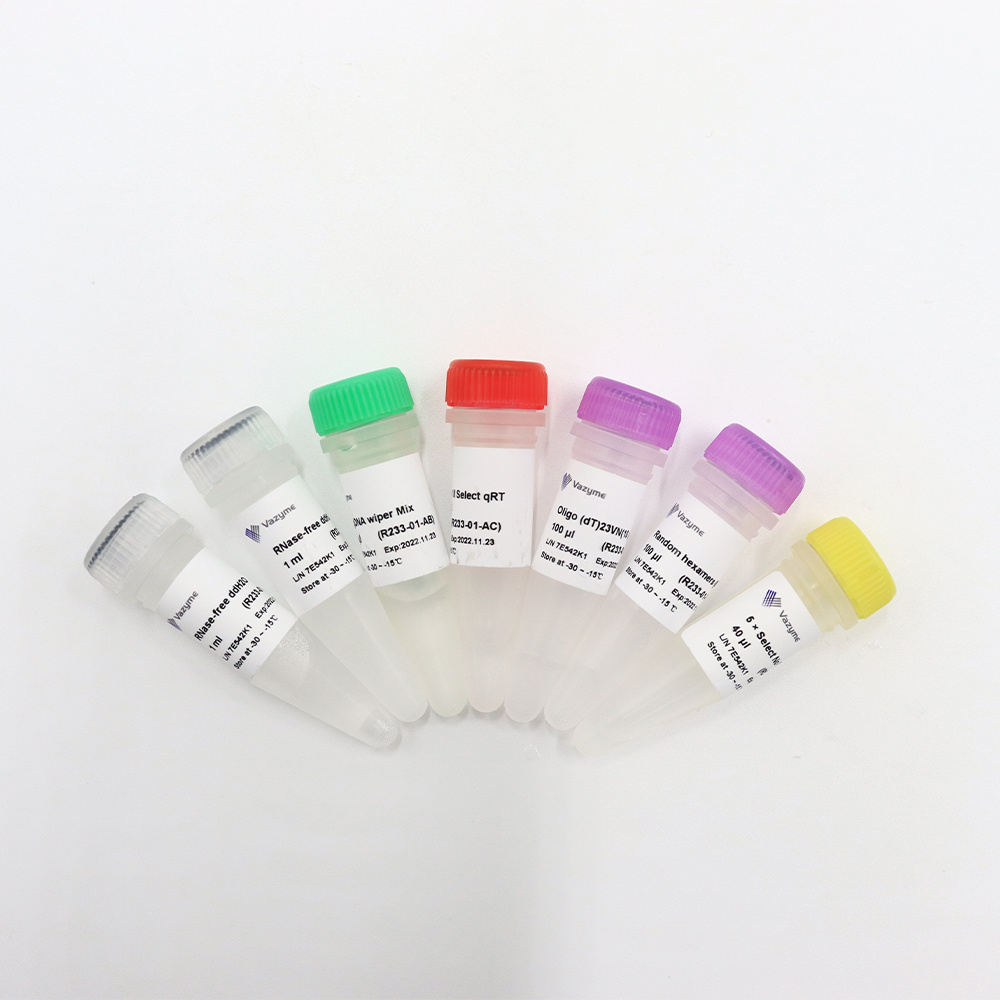 Hiscript Ii Q Select Rt Supermix For Qpcr Gdna Wiper Qpcr