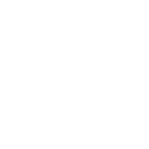 燉鍋