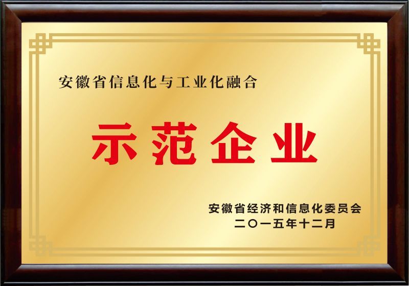 安徽省两化融合树模企业