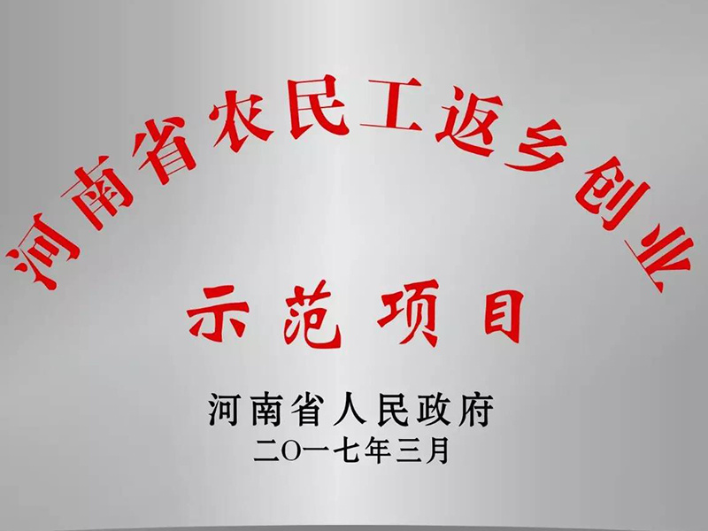 河南省农民工返乡创业示范项目