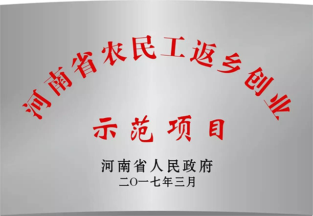 优质电缆人民造 人民电缆为人民 ——尊龙凯时喜获“河南省农民工返乡创业示范项目”荣誉称号