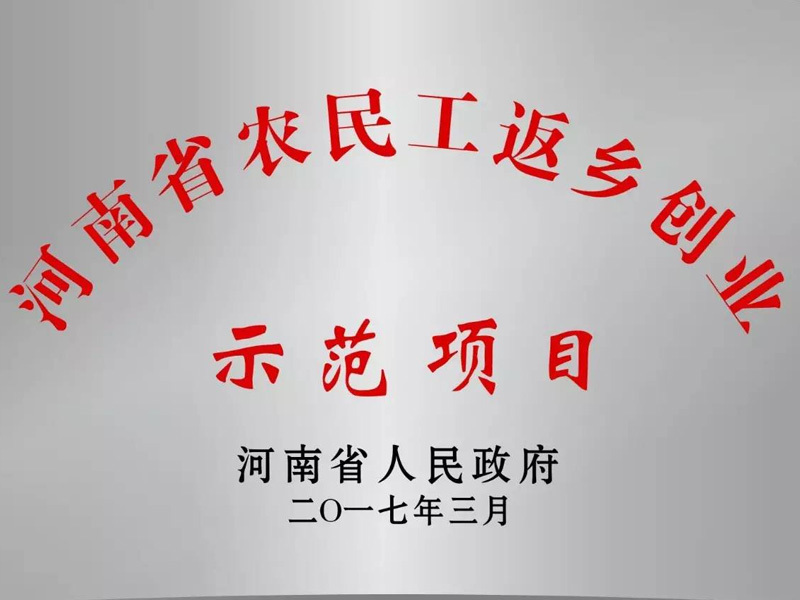 优质电缆人民造 人民电缆为人民 ——公海赌船娱乐公海赌船喜获“河南省农民工返乡创业示范项目”荣誉称号