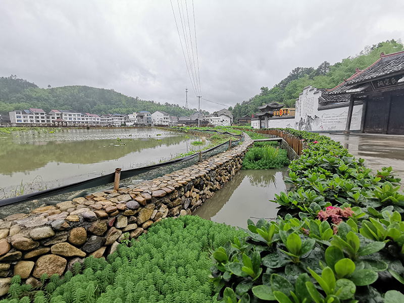 温州市泰顺县长垟村氮磷生态拦截沟渠改造工程