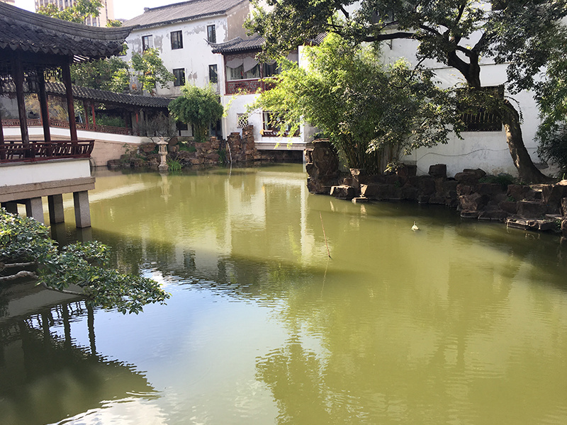 太仓市南园水体生态修复工程