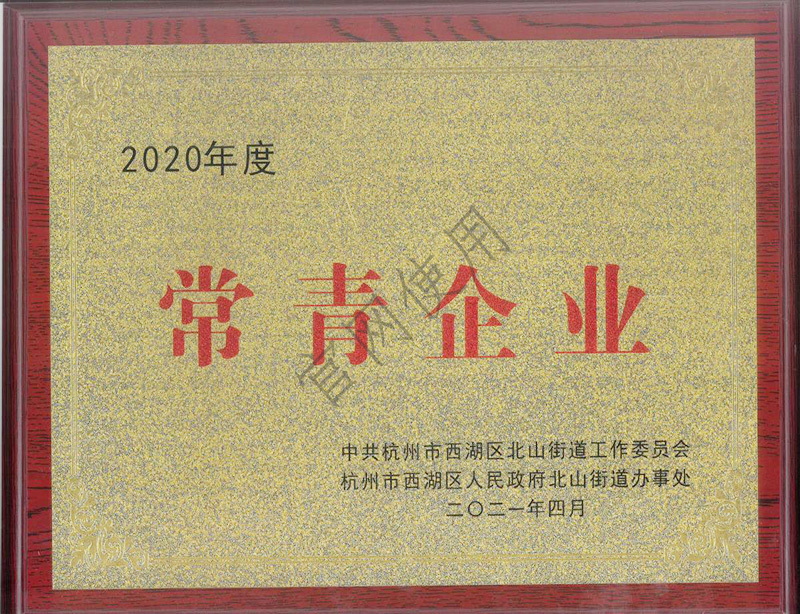 （区政府）2020年度常青企业