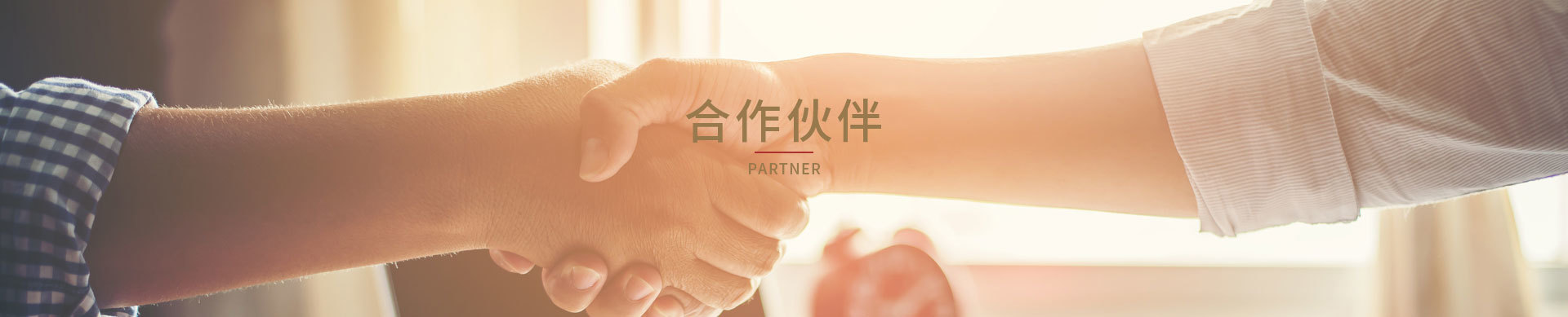 合作夥伴