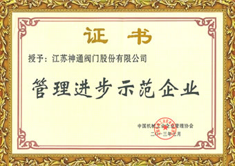 管理进步示范企业证书