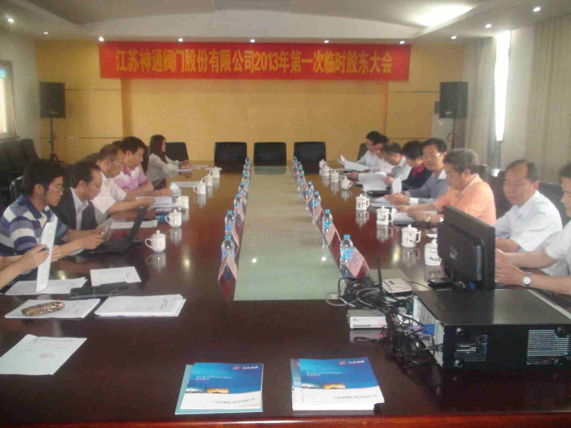 公司召开2013年第一次临时股东大会