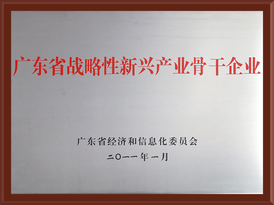 广东省战略性新兴产业骨干企业