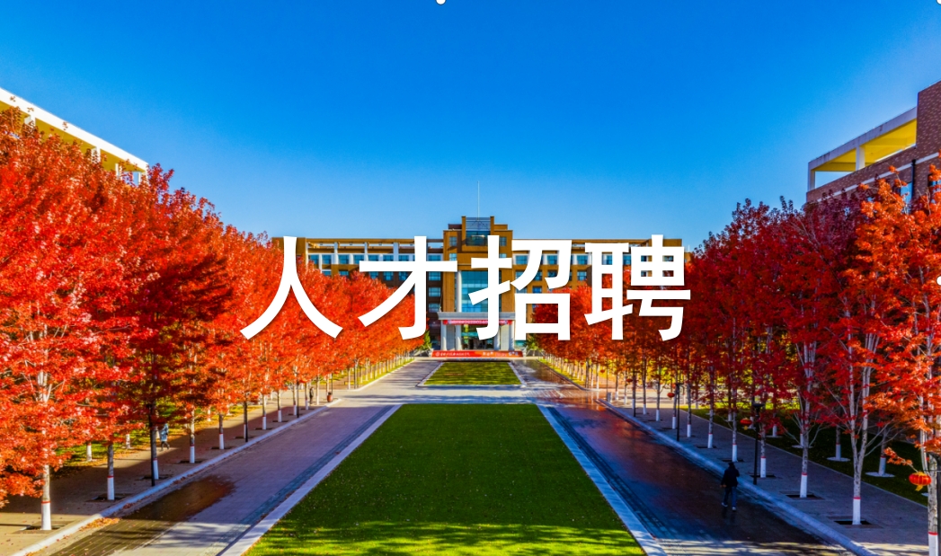 开云体育2025年招聘信息