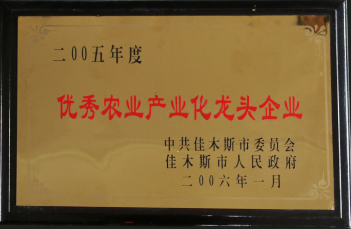 2006优秀农业产业化龙头企业（佳木斯市委员会）