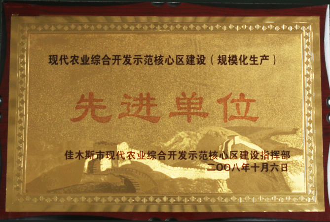 2008现代农业综合开发示范核心区建设先进单位（佳木斯市现代农业综合开发示范核心建设指挥部）