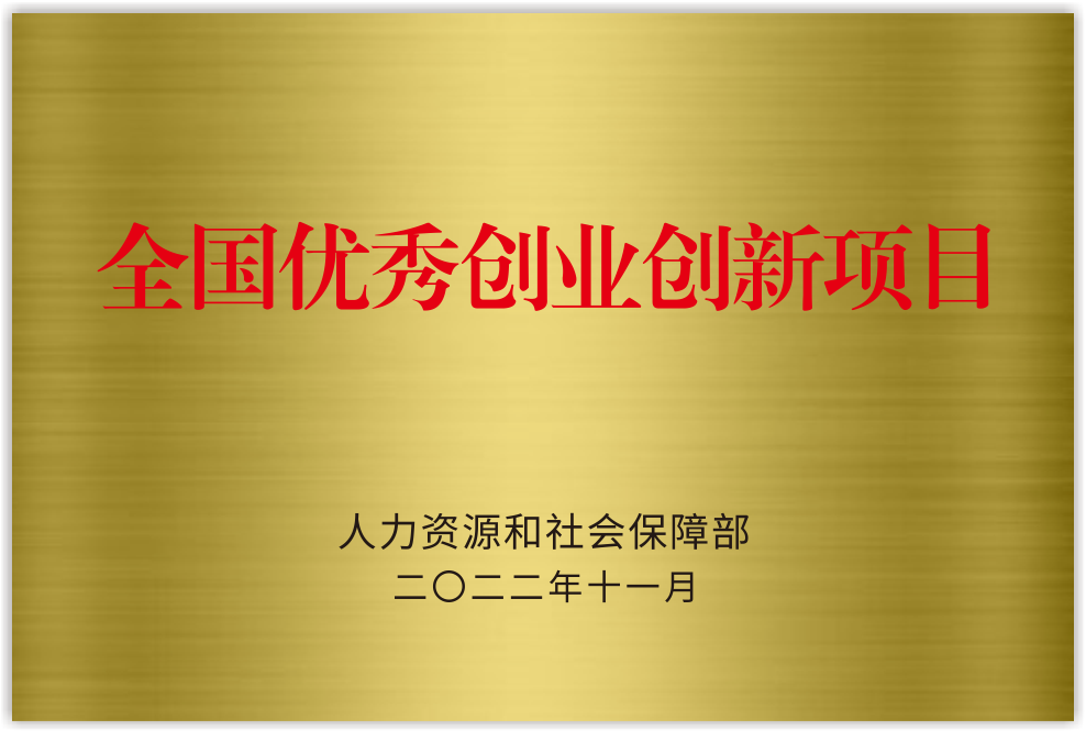 全国优秀创业创新项日