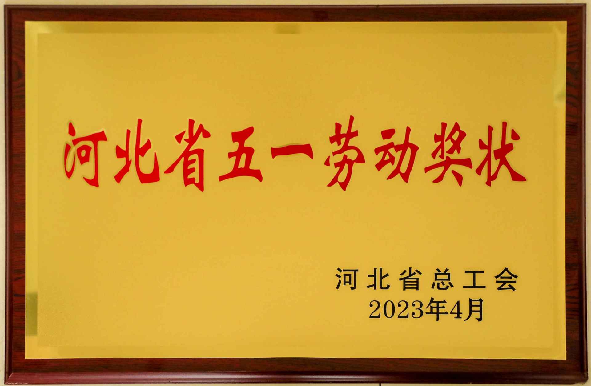 喜讯！尊龙凯时化工集团荣获“河北省五一劳动奖状”
