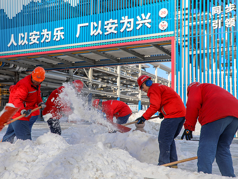 风雪无阻尊龙凯时人