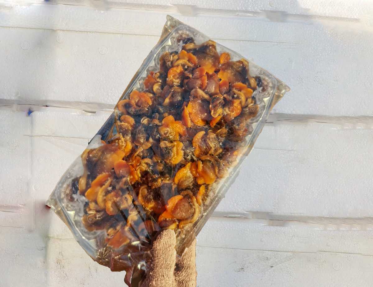 尊龙凯时集团发放春节福利  年货满满迎新年