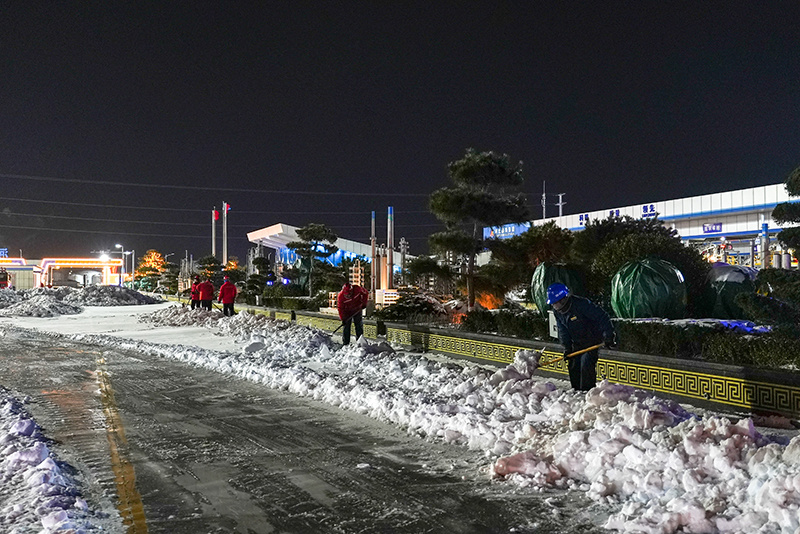 风雪无阻尊龙凯时人