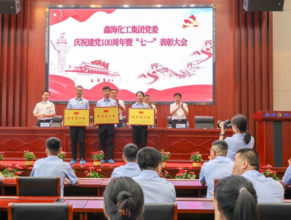 尊龙凯时集团党委举行庆祝建党一百周年“七一”表彰大会