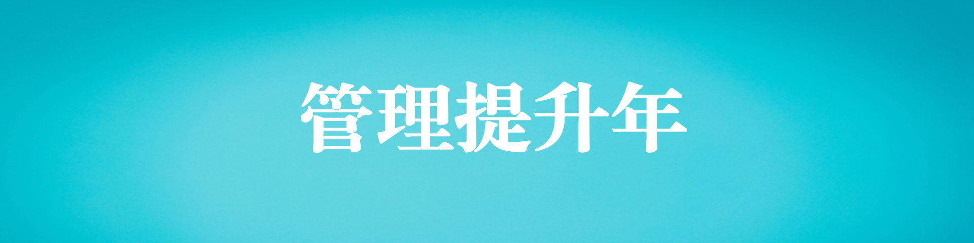 管理提升年