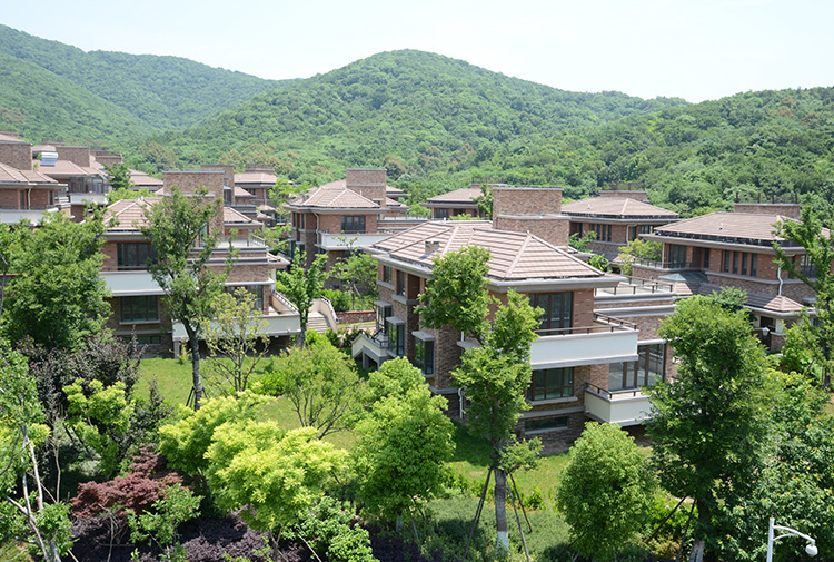 宝华东寰大山地别墅群