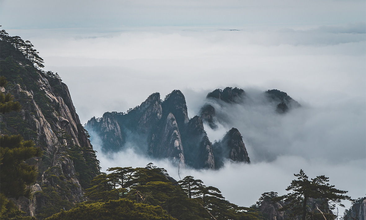 视频标题
