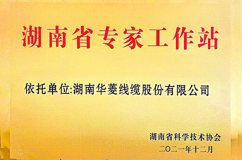 湖南省专家工作站