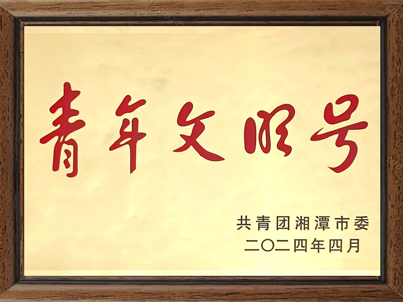 2023年度湘潭市青年文明号
