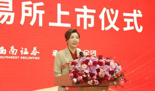 公司治理