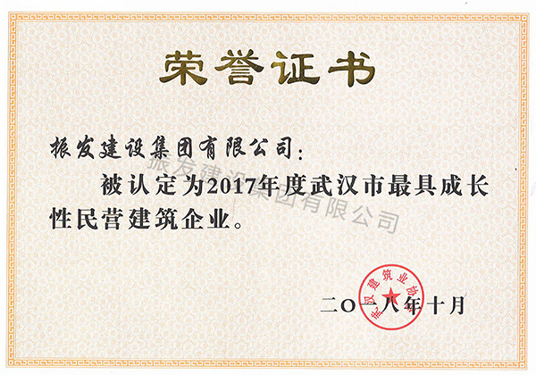 2017年度武汉市成长性民营建筑企业