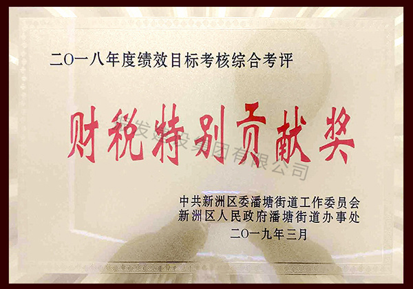 财务特别贡献奖