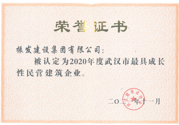 2020年度武汉市最具成长性民营建筑企业
