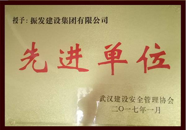 2017年度先进单位奖--武汉市建设安全管理协会