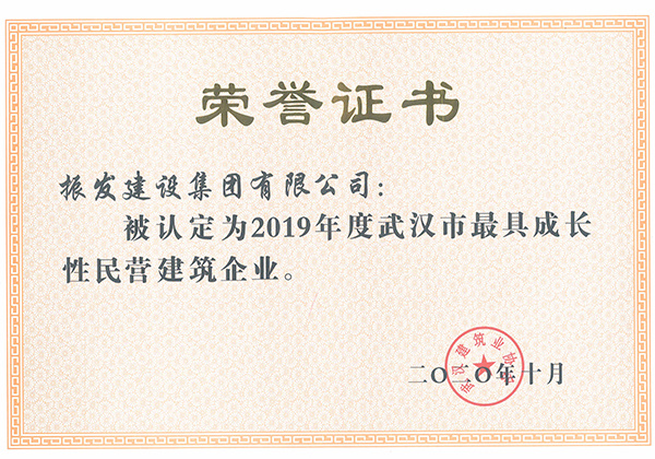 2019年度武汉市最具成长性民营企业