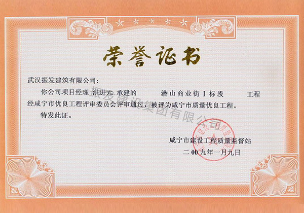 2009年咸宁市质量优良工程